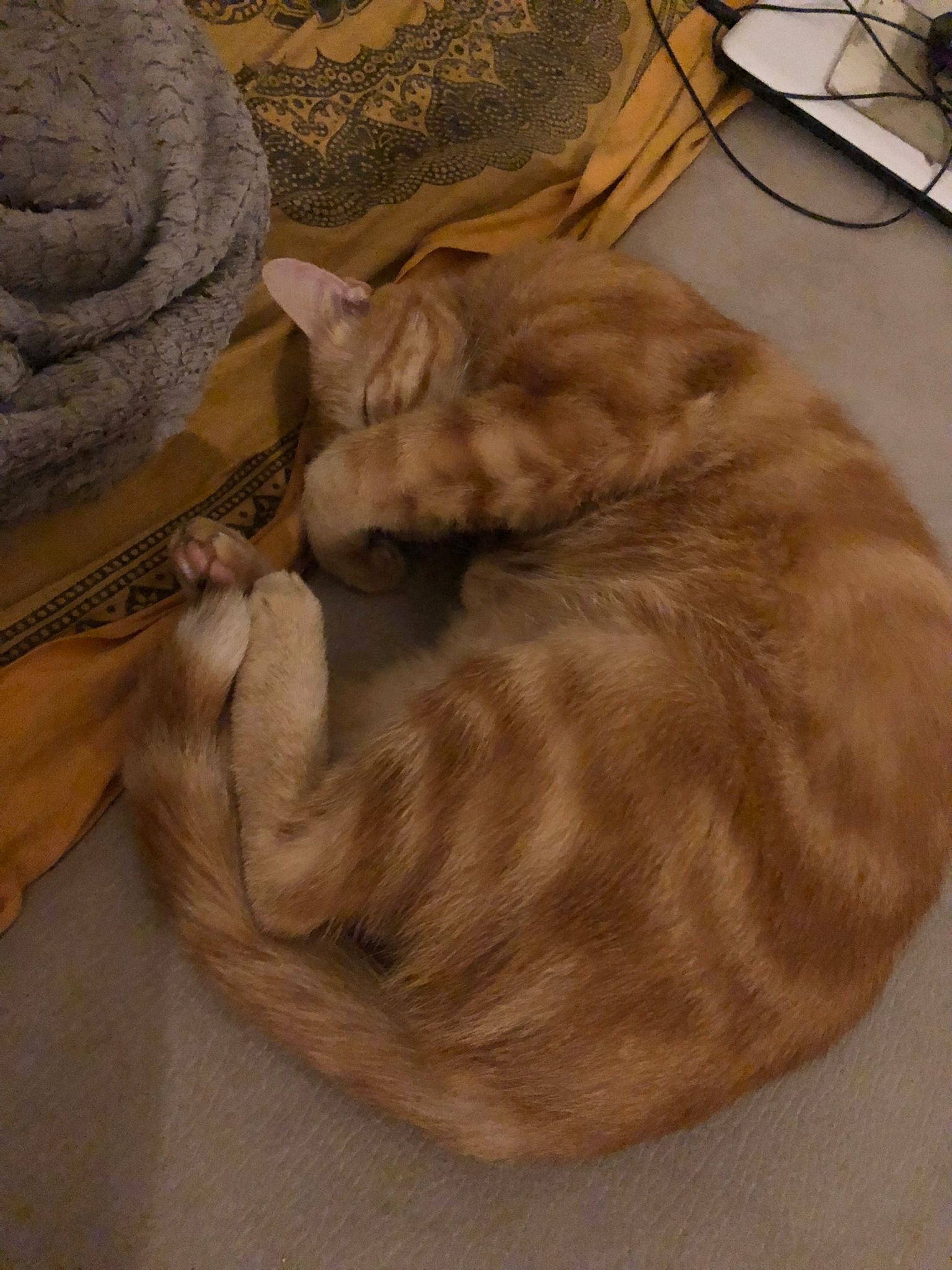 Abdelmajide - Reckingen VS - Valais | Annonce Rencontre