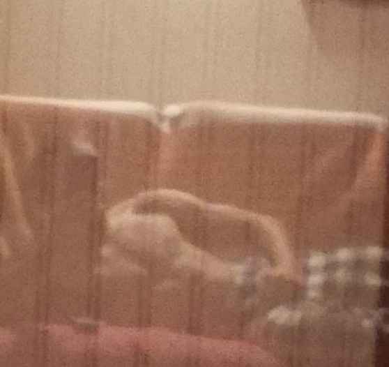 Ismayil - Langenthal - Berne | Annonce Rencontre