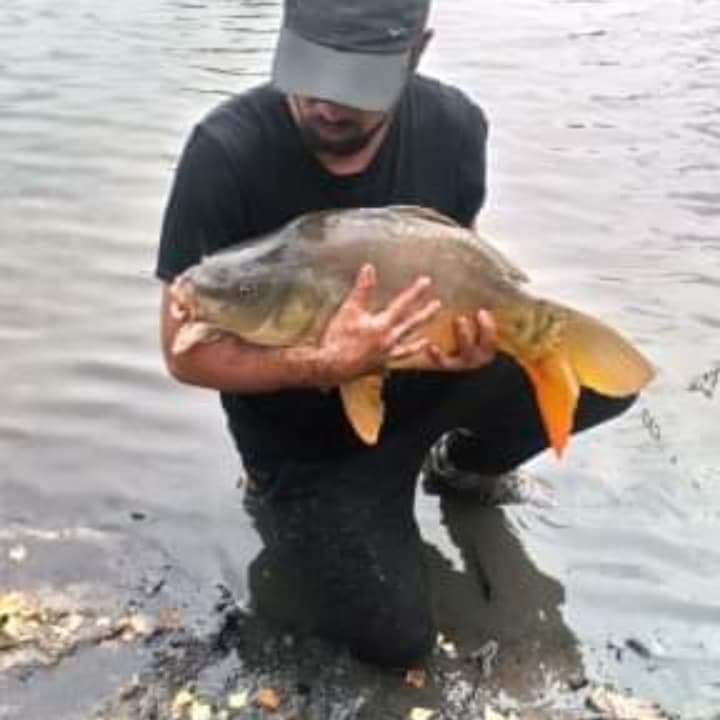 Ottavio - Leimiswil - Berne | Annonce Rencontre