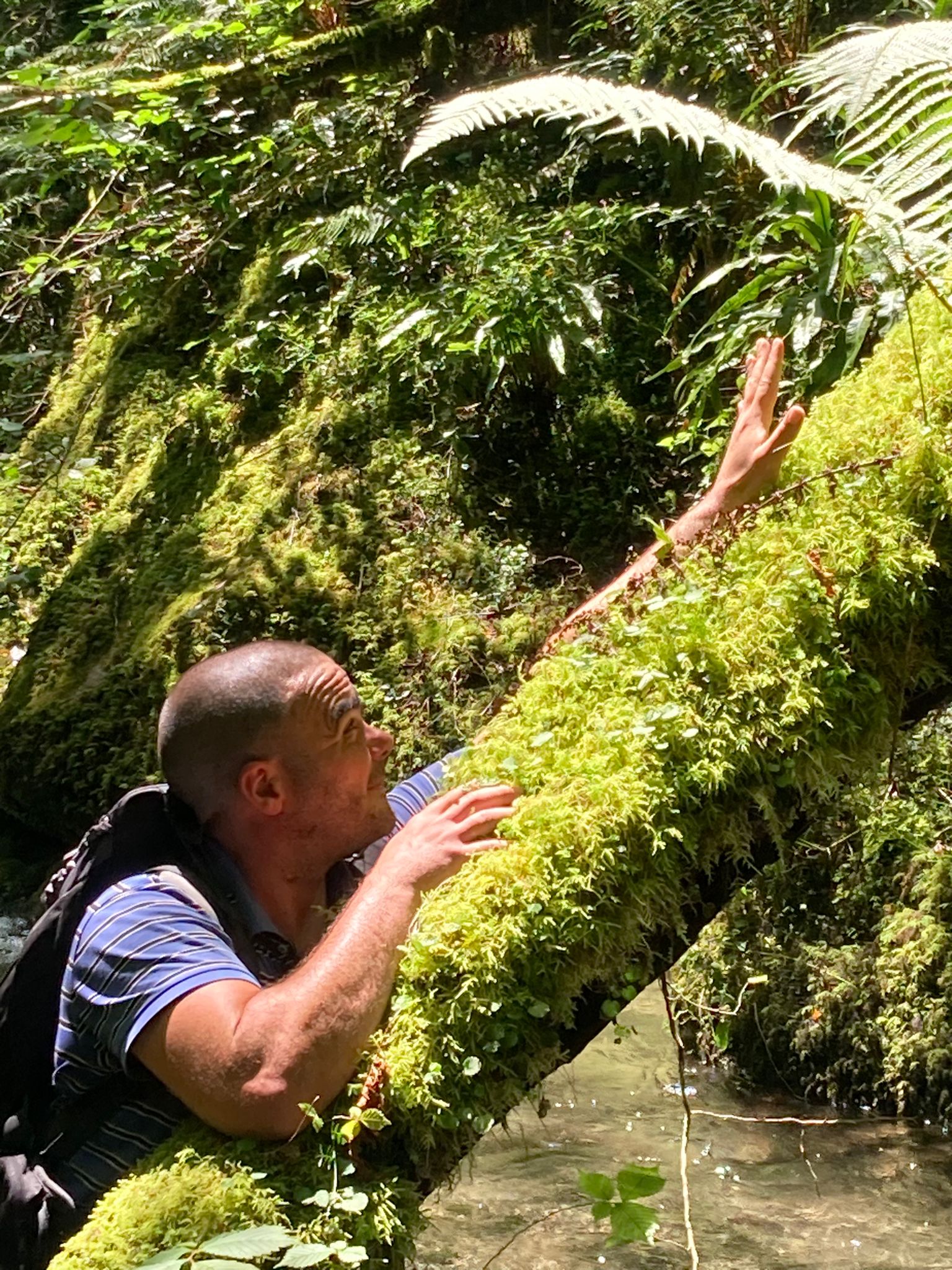 Mahdy - L'Orient - Vaud | Annonce Rencontre