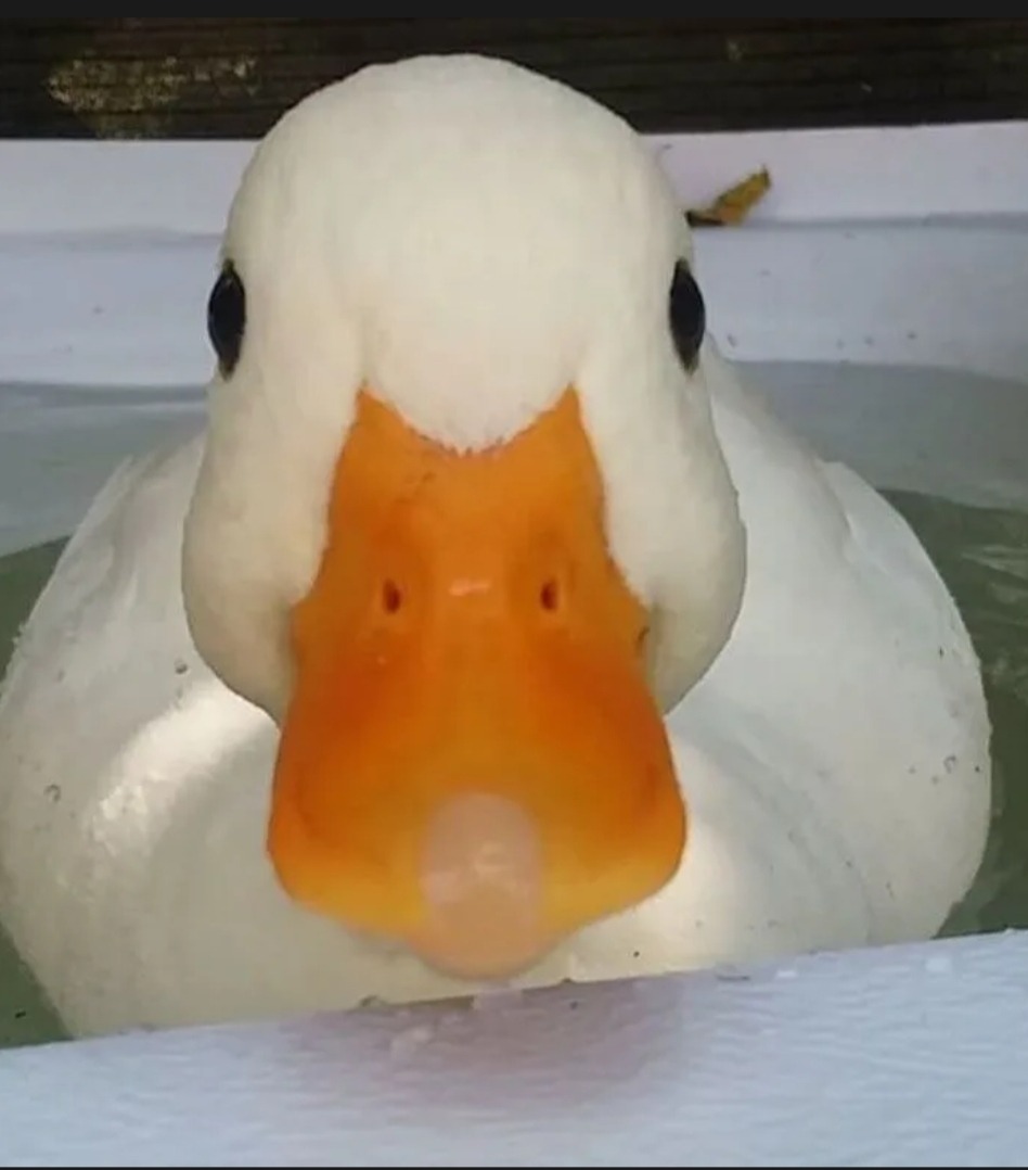 Elyane - Forch - Zurich | Annonce Rencontre