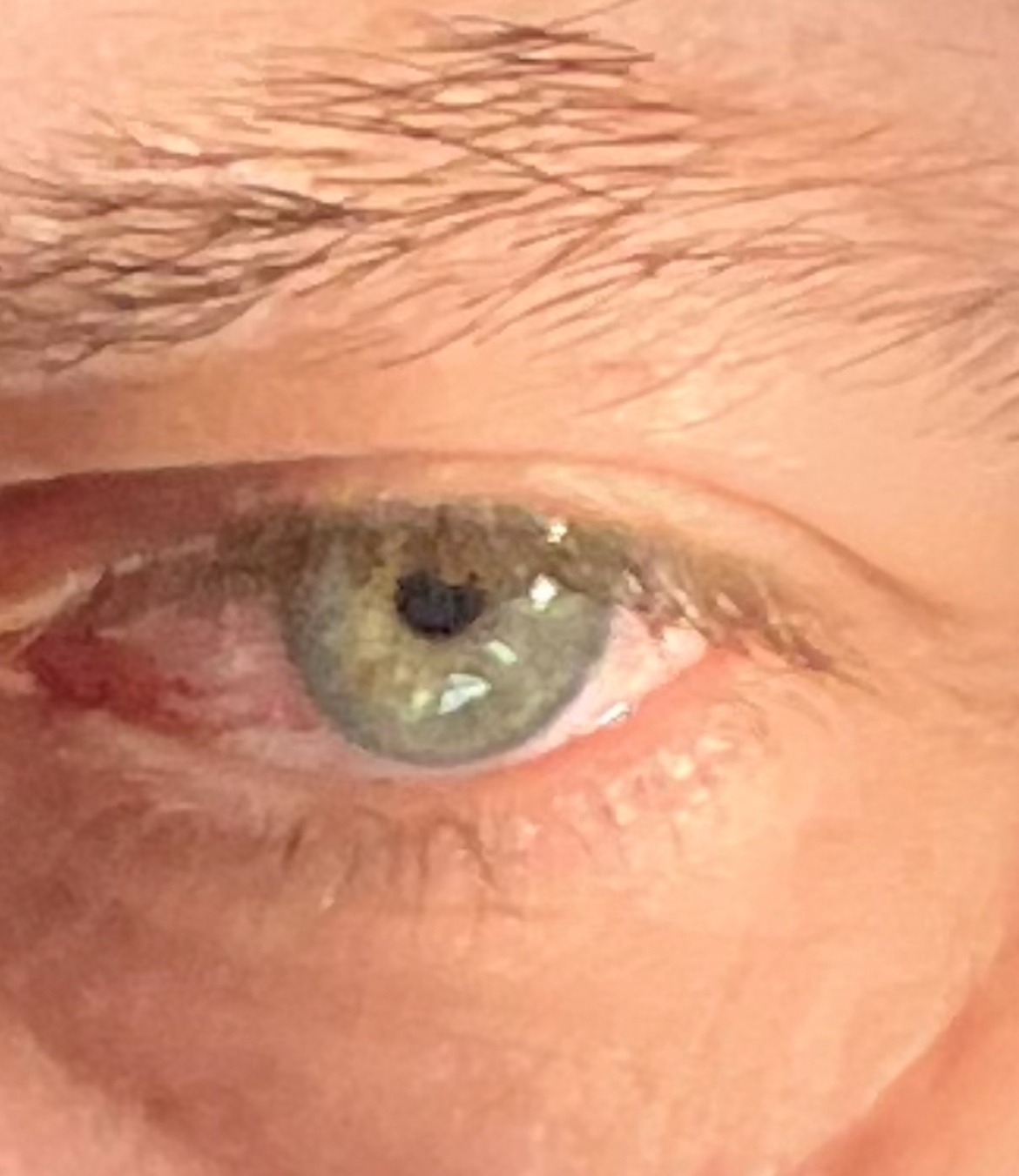 Meir - Schlierbach - Lucerne | Annonce Rencontre