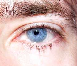 Amadeo - Trasadingen - Schaffhouse | Annonce Rencontre